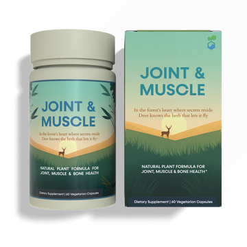Joint & Muscle