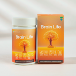 Brain Life
