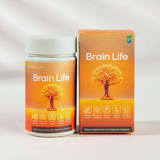Brain Life