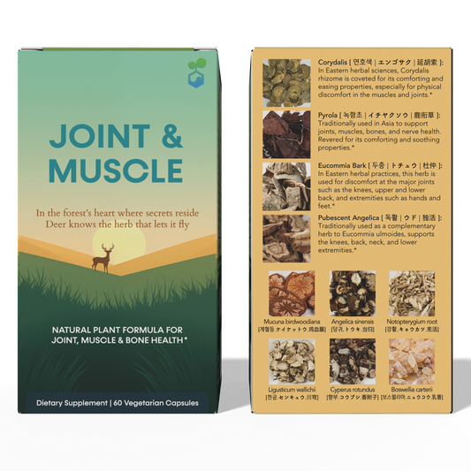 Joint & Muscle