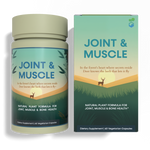 Joint & Muscle