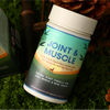 Joint & Muscle