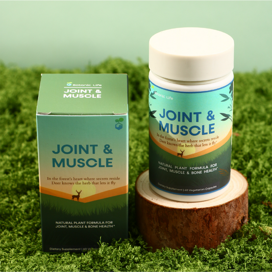 Joint & Muscle